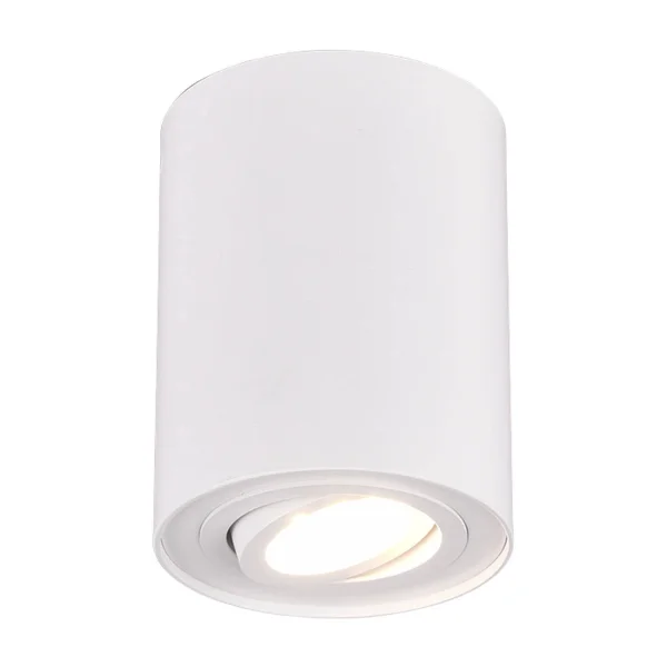 PLAFONNIER 1 LUMIÈRE ORIENTABLE MÉTAL BLANC GU10 FORTUNE