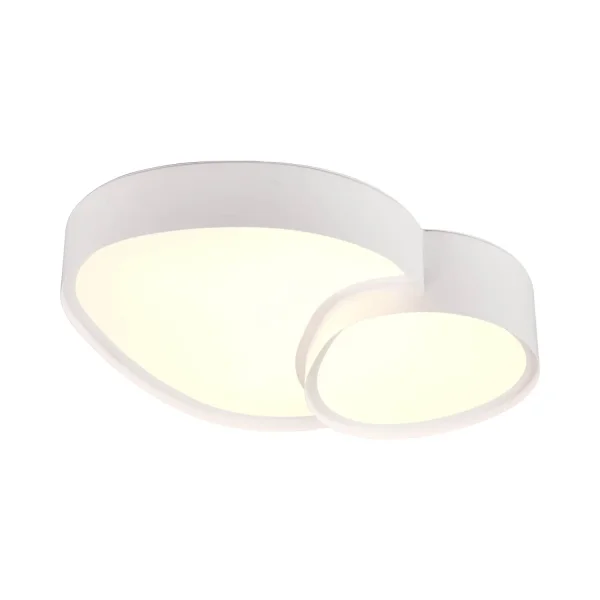 PLAFONNIER LED 21W 2700-6500K BLANC RUBY